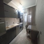 Аренда 3 комнат Новостройка, м. Эльмляр Академиясы метро, пос. Ясамал, Ясамал район 6