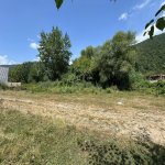 Satılır Torpaq Qəbələ 8