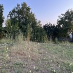 Продажа Участок Исмаиллы 7