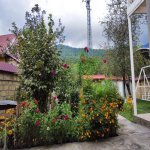 Kirayə (günlük) 2 otaqlı Həyət evi/villa Qəbələ 18