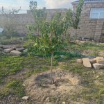 Satılır Torpaq, Buzovna, Xəzər rayonu 2