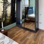 Kirayə (aylıq) 3 otaqlı Yeni Tikili, Sahil metrosu, Səbail rayonu 7