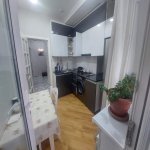 Kirayə (aylıq) 2 otaqlı Yeni Tikili, H.Aslanov qəs., Xətai rayonu 11