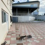 Satılır 8 otaqlı Həyət evi/villa, Qara Qarayev metrosu, Nizami rayonu 10