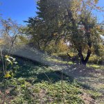 Satılır Torpaq Şamaxı 7