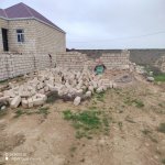 Satılır Torpaq, Hövsan qəs., Suraxanı rayonu 7