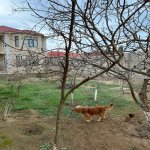 Satılır 6 otaqlı Həyət evi/villa, Buzovna, Xəzər rayonu 3