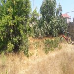 Satılır 2 otaqlı Bağ evi, Saray, Abşeron rayonu 2