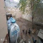 Satılır 3 otaqlı Həyət evi/villa, Azadlıq metrosu, Binəqədi qəs., Binəqədi rayonu 4