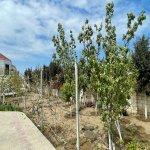 Kirayə (aylıq) 4 otaqlı Bağ evi, Suraxanı rayonu 4