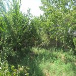 Satılır 6 otaqlı Bağ evi, Masazır, Abşeron rayonu 10