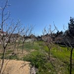 Продажа Участок, Мярдякан, Хязяр район 8