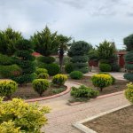 Kirayə (aylıq) 6 otaqlı Bağ evi, Mərdəkan, Xəzər rayonu 5