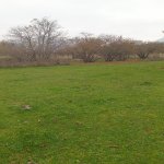 Satılır Torpaq Qəbələ 13