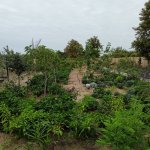 Satılır 4 otaqlı Həyət evi/villa, Novxanı, Abşeron rayonu 15
