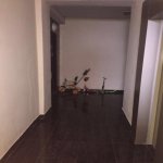 Kirayə (aylıq) 2 otaqlı Yeni Tikili, Xətai rayonu 3