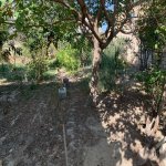 Satılır Torpaq Sumqayıt 3