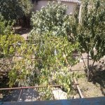 Satılır 8 otaqlı Həyət evi/villa Ağsu 27