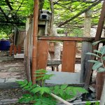 Satılır 4 otaqlı Həyət evi/villa, Avtovağzal metrosu, Biləcəri qəs., Binəqədi rayonu 10