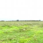 Satılır Obyekt Xaçmaz 23