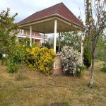 Kirayə (aylıq) 4 otaqlı Bağ evi, Goradil, Abşeron rayonu 27