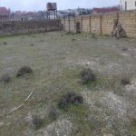 Satılır Torpaq, Goradil, Abşeron rayonu 2