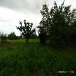 Satılır Torpaq Qusar 3
