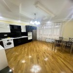 Kirayə (aylıq) 4 otaqlı Yeni Tikili, Nəriman Nərimanov metrosu, Nərimanov rayonu 13