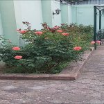 Kirayə (günlük) 2 otaqlı Həyət evi/villa Quba 5