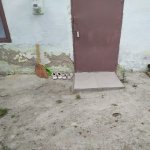 Kirayə (aylıq) 1 otaqlı Həyət evi/villa, Neftçilər metrosu, Sabunçu qəs., Sabunçu rayonu 3