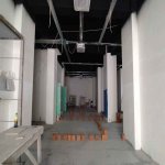 Kirayə (aylıq) 6 otaqlı Ofis, Nizami metrosu, Yasamal rayonu 31