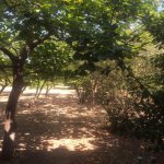 Satılır 5 otaqlı Bağ evi, Goradil, Abşeron rayonu 15