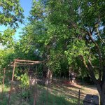 Satılır 3 otaqlı Həyət evi/villa Xırdalan 3