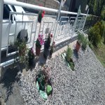 Посуточно 3 комнат Дача Губа 9