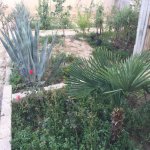 Продажа 7 комнатная Дома/Виллы, Мярдякан, Хязяр район 28