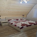 Kirayə (günlük) 3 otaqlı Həyət evi/villa Qəbələ 8