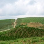 Satılır Torpaq Şamaxı 7