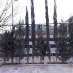 Satılır 5 otaqlı Həyət evi/villa, Neftçilər metrosu, Bakıxanov qəs., Sabunçu rayonu 41