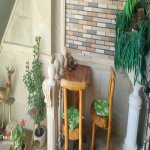 Satılır 4 otaqlı Bağ evi, Zığ qəs., Suraxanı rayonu 15