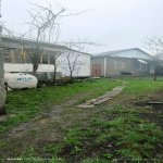 Satılır 4 otaqlı Həyət evi/villa Qəbələ 1