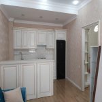 Kirayə (aylıq) 3 otaqlı Yeni Tikili, Nəriman Nərimanov metrosu, Nərimanov rayonu 5