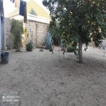 Satılır 4 otaqlı Bağ evi, Buzovna, Xəzər rayonu 12