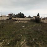 Satılır Torpaq, Novxanı, Abşeron rayonu 5