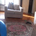 Kirayə (günlük) 7 otaqlı Bağ evi, Novxanı, Abşeron rayonu 21