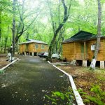 Kirayə (günlük) 5 otaqlı Bağ evi Quba 6