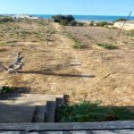 Satılır 4 otaqlı Həyət evi/villa, Novxanı, Abşeron rayonu 15