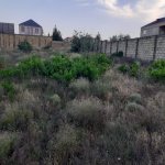 Satılır Torpaq, Novxanı, Abşeron rayonu 1