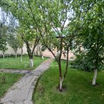 Аренда 2 комнатная Дома/Виллы Губа 5