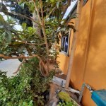 Satılır 2 otaqlı Həyət evi/villa Xırdalan 12