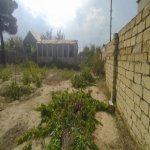 Satılır Torpaq, Novxanı, Abşeron rayonu 4